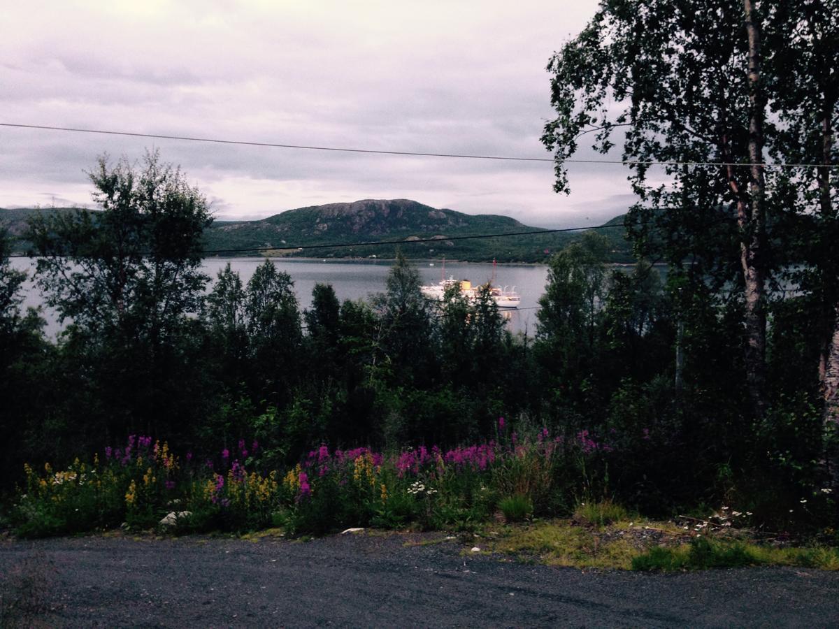 Jarfjord Arctic Aurora Lodge Karpbukt Zewnętrze zdjęcie