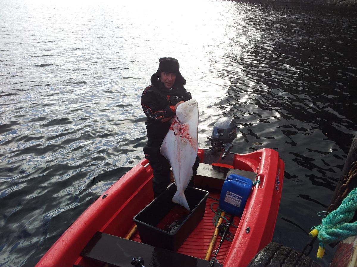 Jarfjord Arctic Aurora Lodge Karpbukt Zewnętrze zdjęcie